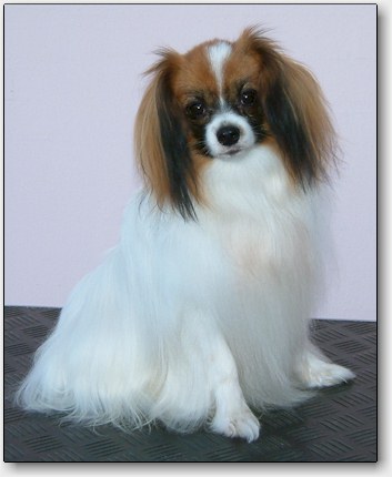 Bertil at 17 months