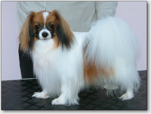 Bertil at 17 months