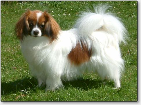 Bertil at 9 months