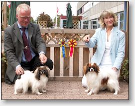 Bertil i Odense