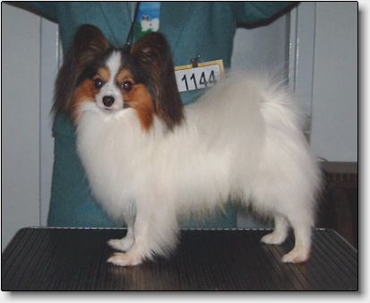 Chip November 2003, after his first BOB