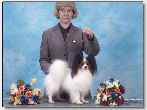 Chip BOB, Kortrijk, November 2004. Photo Karl Donvil