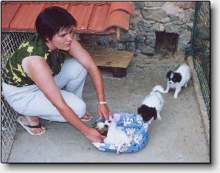 Christine with her wonderful puppies (23695 bytes)