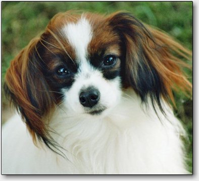 Clara at 1 year