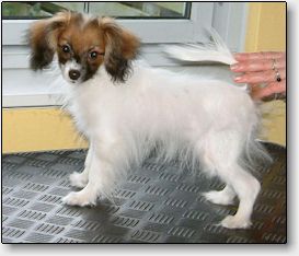 Jazz at 5 months