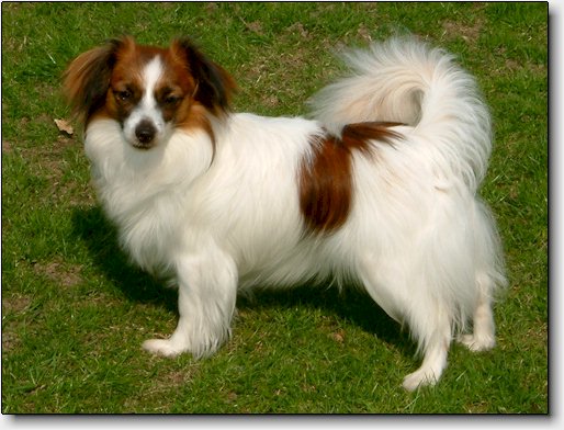 Marie at 9 months