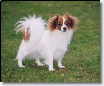 Nynne at 15 months
