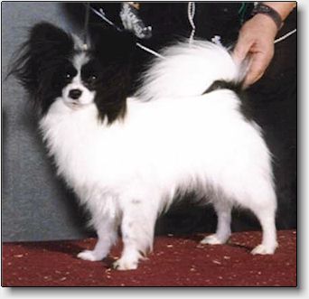 Rocke at 2 years