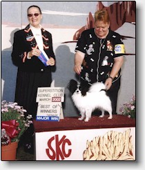 Rocke winning at the Superstition Kennel Club