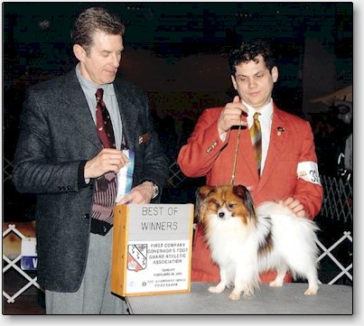 Tigger finishing his American championship