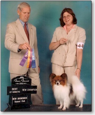 Tigger finishing his Canadian championship
