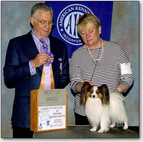 Tip at the Toy cluster, Western Massachusetts