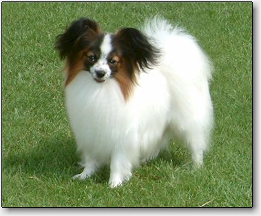 Toddy at 10 motnhs