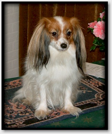 Tracy at 4 years