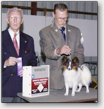 Wedgwood Backtalk N Baxter