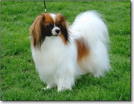 Bertil at 22 months