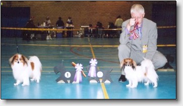 BOB and BOS in Naestved