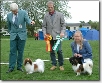 Bertil is awarded BOB and BIS