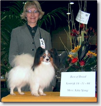 Chip BOB, Kortrijk November 2004. Photo Dirk Spruyt