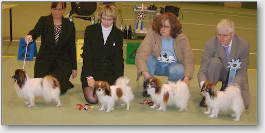 Blicci's breeder's group