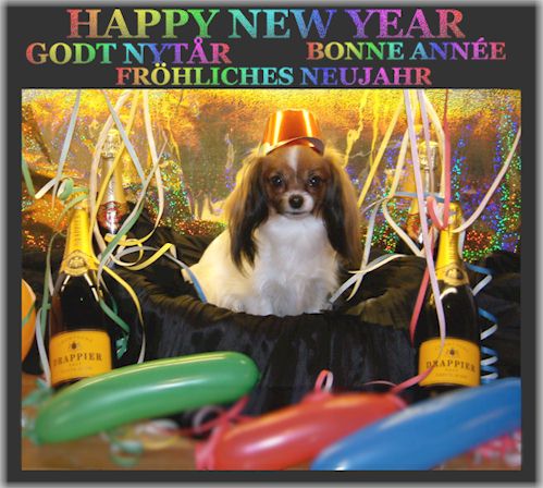 Trixie and the rest of the gang wish you a very happy new year