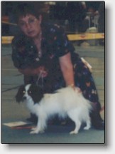 Skymningen's Karolyn winning BOB in 1996