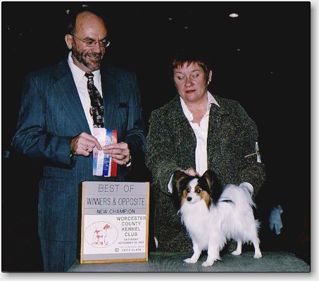 Tip is now a champion, at 9 months old!